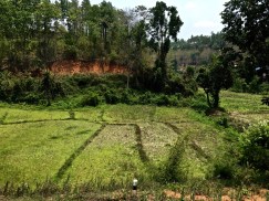 Northern Thailand - 368